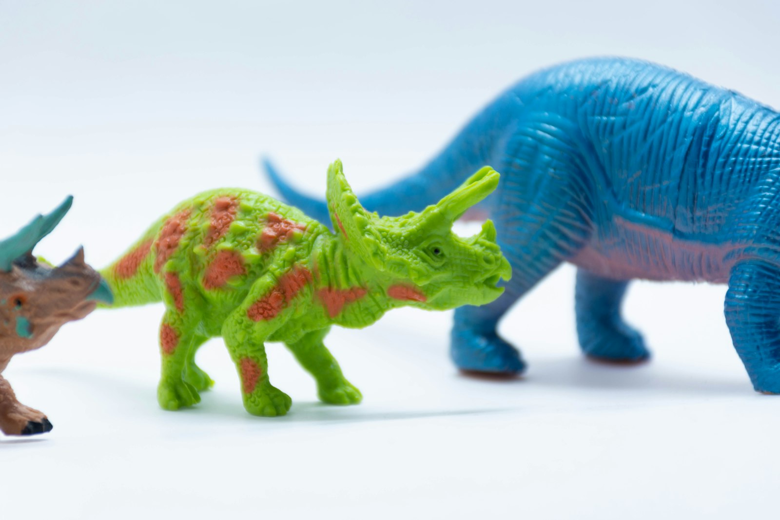 恐竜の塗り絵をする子ども